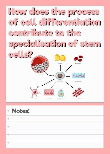 integumentary system worksheet answers pdf